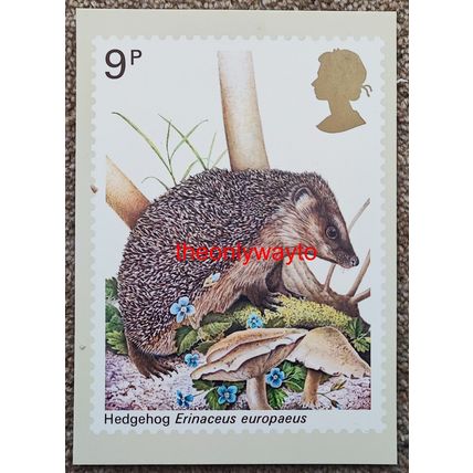 Hedgehog (Erinaceous europaeus), 9p Post Office Postcard PHQ 25 (a), 1977