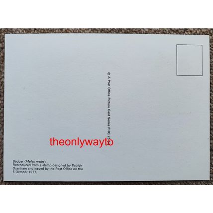 Badger (Meles meles), 9p Post Office Postcard PHQ 25 (e), 1977