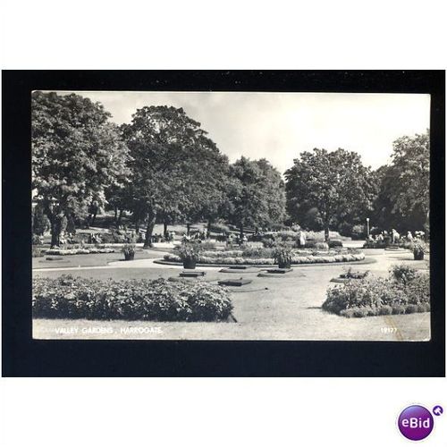 Yorkshire HARROGATE Valley Gardens Postcard by Salmon (19177)
