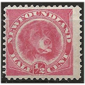 Newfoundland 1887 SG49 1/2c Rose-Red Mounted Mint . ..