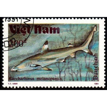 Vietnam 1991 Marine Life Fish 200d Used Stamp Shark
