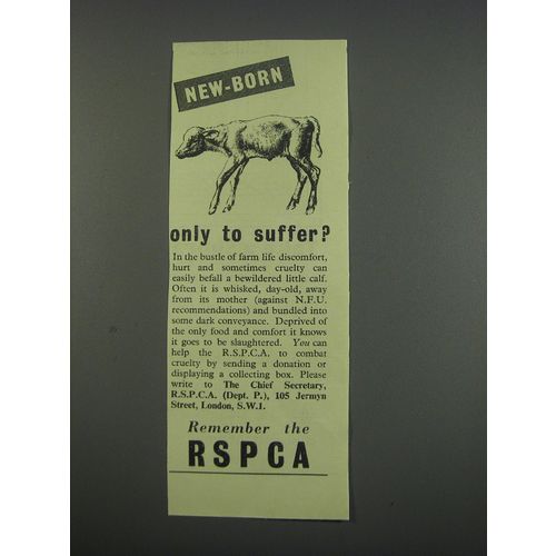1955 RSPCA Royal Society for the Prevention of Cruelty to Animals Advertisement