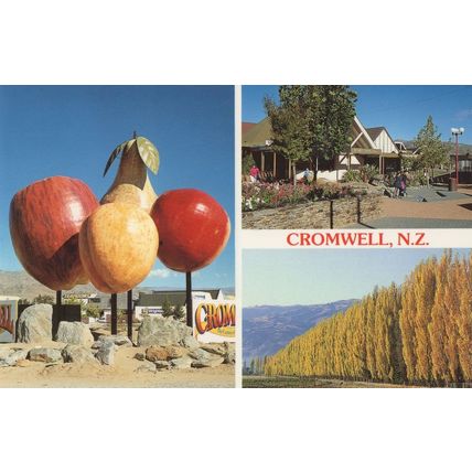Cromwell Shopping Mall New Zealand Postcard