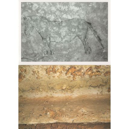 Horse Elephant French Cave Paintings Grotte De Rouffignac 2x Postcard s