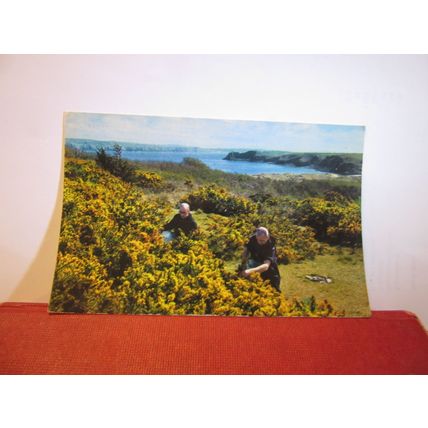 MONKS,, CALDEY ISLAND, TENBY, PEMBROKESHIRE used postcard 1981 pm =