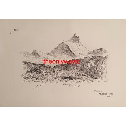 Weisshorn, Gos (Portrait {Of Woman}, Estoppey, Reverse), Book Illustration, 1901