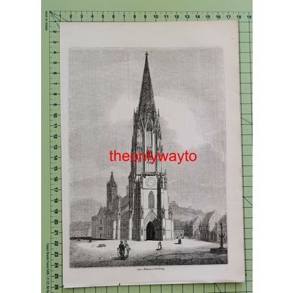 Freiburg Minster, Germany, Book Illustration (Print), 1850