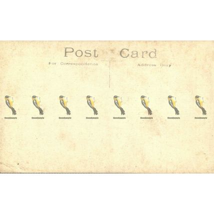 Norwich Cathedral, From SE, Norfolk, Norvic Series 39 Early Postcard,