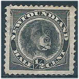 Newfgoundland 1894 SG59 1/2c Black (thin) Mounted Mint . ...