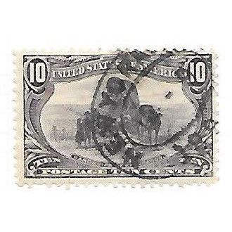 USA 1898 MISSISSIPPI OMAHA EXPO 10c CUSTOMER REQUEST NJA