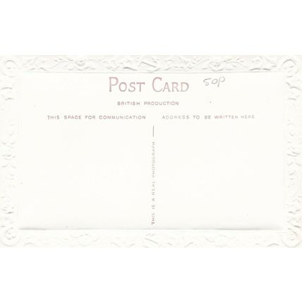 Dog Birthday Greetings Postcard unused VGC