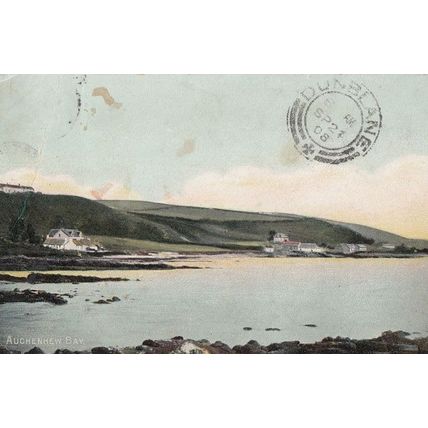 Winter Trees Galloway Scotland Postcard