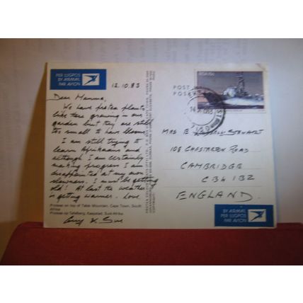 PROTEAS FLOWER, TABLE MOUNTAIN, CAPE TOWN, SOUTH AFRICA used postcard 1983 pm =