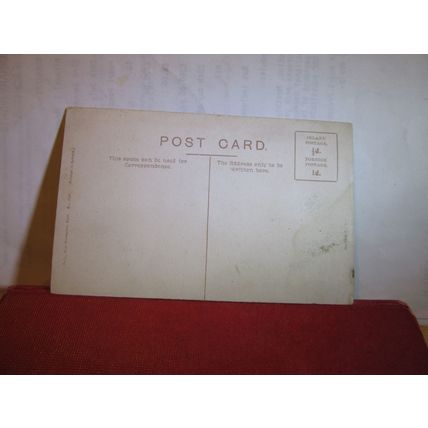 SPRINGHEAD GARDENS, KENT unused antique postcard =