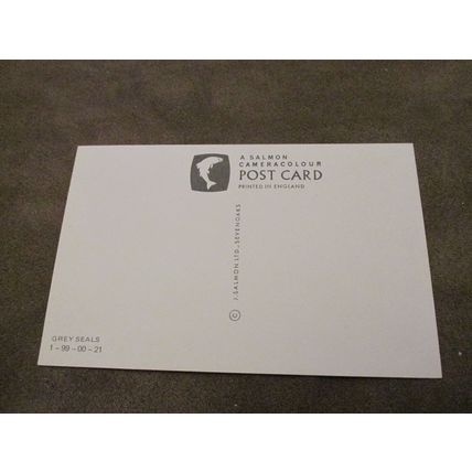 J Salmon Postcard - Grey Seals - Nature interest