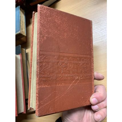 RARE* 1880s MARY & CATHERINE LEE "ROSAMOND FANE" FICTION ANTIQUE BOOK (P4)
