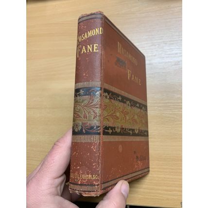 RARE* 1880s MARY & CATHERINE LEE "ROSAMOND FANE" FICTION ANTIQUE BOOK (P4)