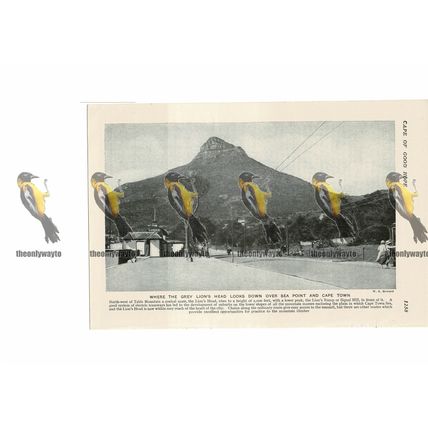 Lion's Head, Sea Point, Cape Town, South Africa, Book Illustration, c1920