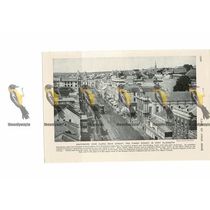 Port Elizabeth, Main Street, South Africa, Book Illustration, c1920