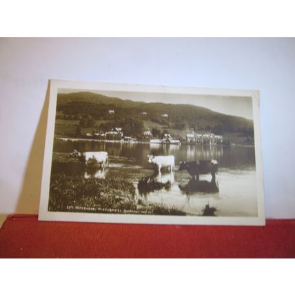 WATERHEAD, LAKE WINDERMERE, used antique postcard by G P Abraham 1917 pm =