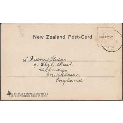 Lake Te Anau from Nurse Creek, c.1905 - Muir & Moodie Postcard