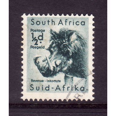 SOUTH AFRICA 1954 SG 151 1/2d WARTHOG FINE USED