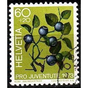 SCHWEIZ SWITZERLAND [1973] MiNr 1016 ( O/used ) Pro Juventute