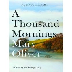 A Thousand Mornings
