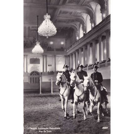 Wien Spanische Reltschule Spanish Riding School Austria Postcard
