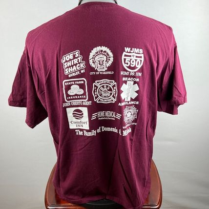 Gogebic Regional Hospice Polar Plunge Ads 2XL T-Shirt Shirt