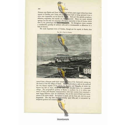 Bastia, General View, Corsica, France, Book Illustration (Print), 1880