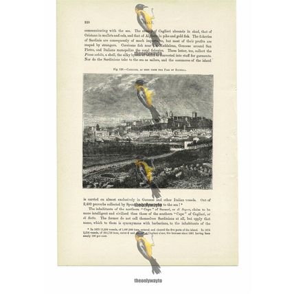 Cagliari, From Pass Of Boneria, Italy, Book Illustration (Print), 1880