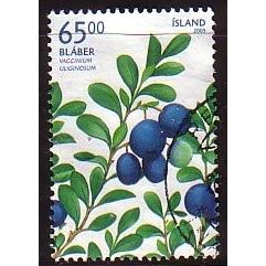 2005 Iceland Sc# 1054 used - Blueberries 65.00kr