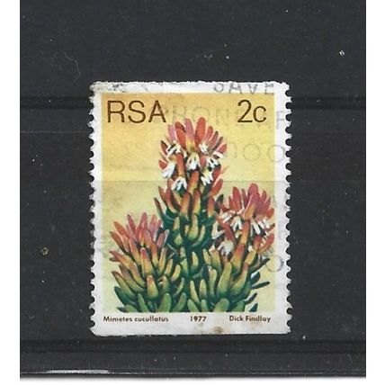 SouthAfrica.SG432 2c Mimetes Cucullatus.Fine Used.Sep25r