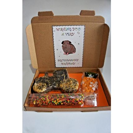 GUINEA PIG BIRTHDAY BOX DECORATED BOX WITH TRACTOR CARROT & HONEY BAR TREATS