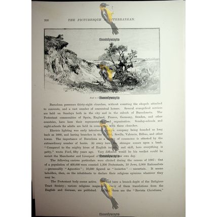 Road To S. Cugat De Vallis, Barcelona, Spain, Book Illustration (Print), 1890