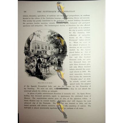 Flower-Sellers In The Rambla, Barcelona, Spain, Book Illustration (Print), 1890