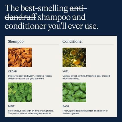 Flakes Anti-Dandruff Shampoo and Conditioner Set for Men | Dry, Flaky, & Itchy S