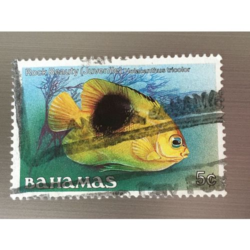 Bahamas QEII 1989 Fish 5c Rock Beauty Juvenile Used SG 791 Sc 604c postage stamp