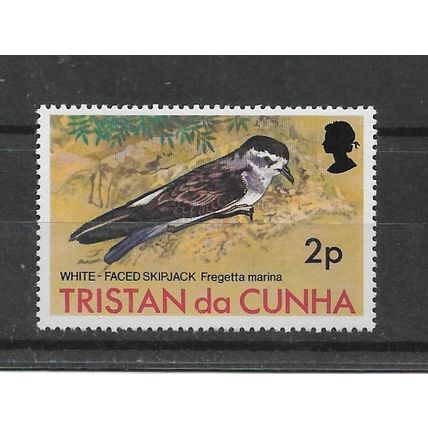 Tristan da Cunha.SG221 2p White-faced Storm Pettrel.Mounted Mint.Feb22