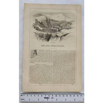 1842 The Dog-field Sports No. 2