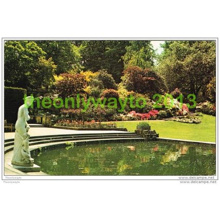 JAPANESE AZALEAS IN THE CASCADE ROCKERY, HEVER CASTLE, SUSSEX, Postcard