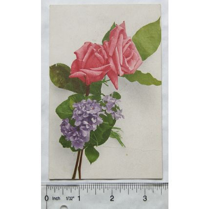 vintage postcard flowers