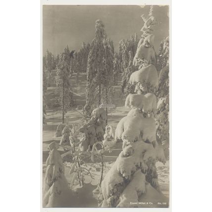 Norway Winter Snow in forest early 20th C. unused RPPC Mittet No. 136