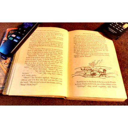 The Bobbsey Twins At Snow Lodge 1960 By Laura Lee Hope Great Shape
