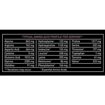 Premium Multi Collagen Peptides Protein Powder (1, 2, 3, 5 & 10) with Vitamin C,
