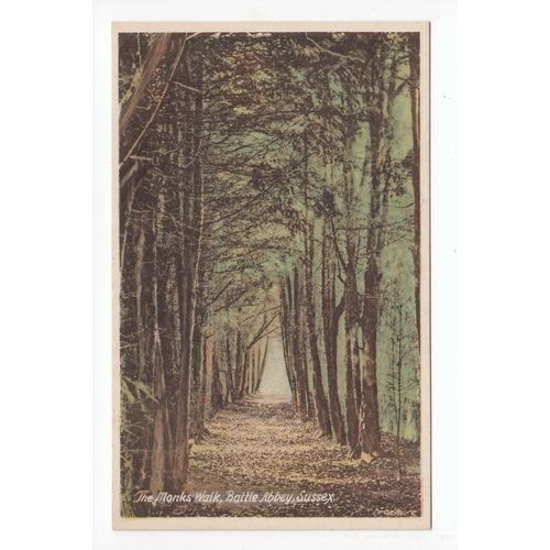 The Monks Walk Battle Abbey Postcard East Sussex BA5