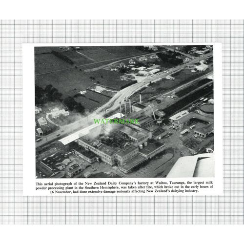 C844) New Zealand Dairy Company Waitoa Tauranga Fire - 1964 Cutting
