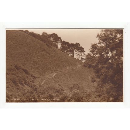 The Goat Path Watcombe Postcard Devon Judges 6735
