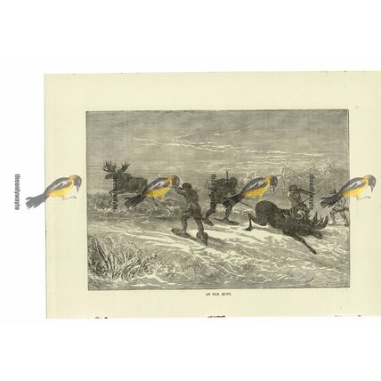 Elk Hunt, Book Illustration (Print), 1884